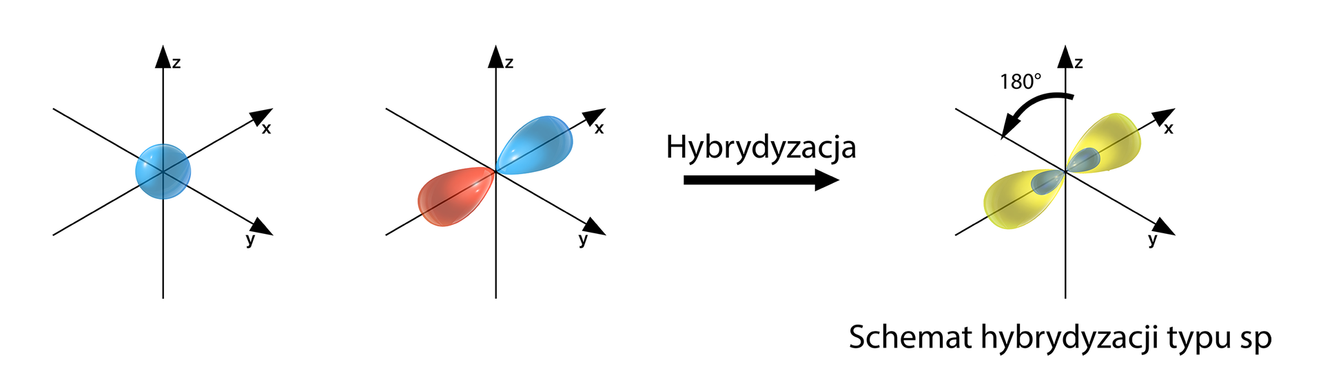sp