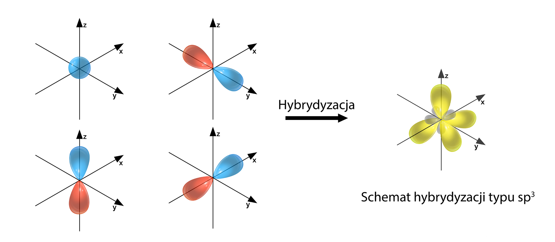sp3