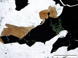 opaque mineral (1P)