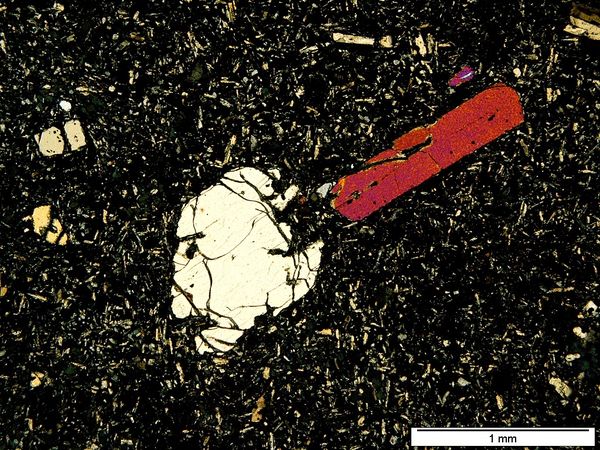 Olivine PX Olivine PX
