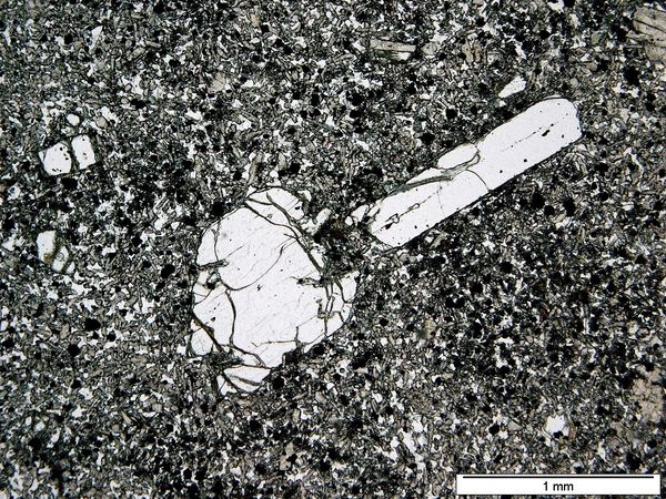 Olivine 1P Olivine 1P