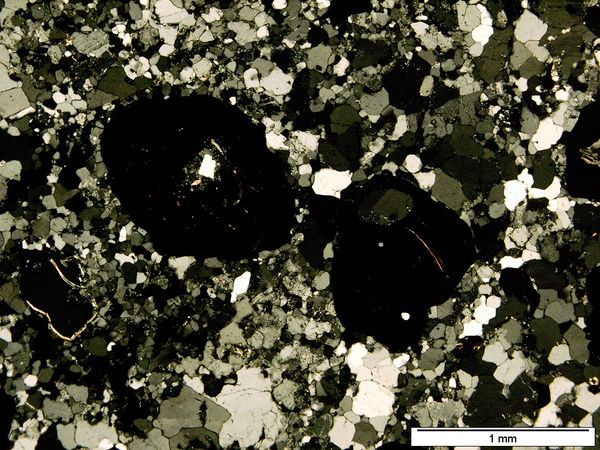 Garnet PX Garnet PX