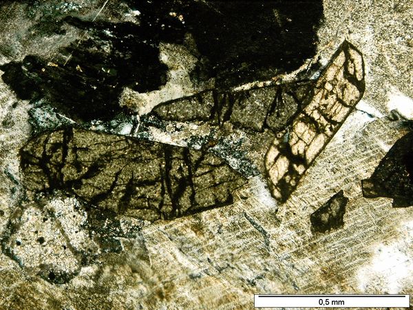 Titanite PX Titanite PX