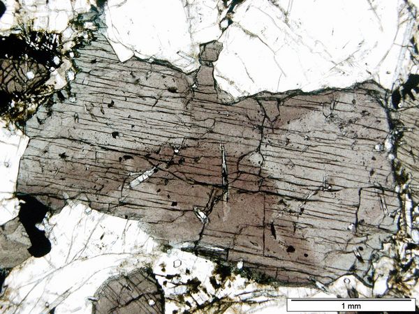Augite 1P Augite 1P