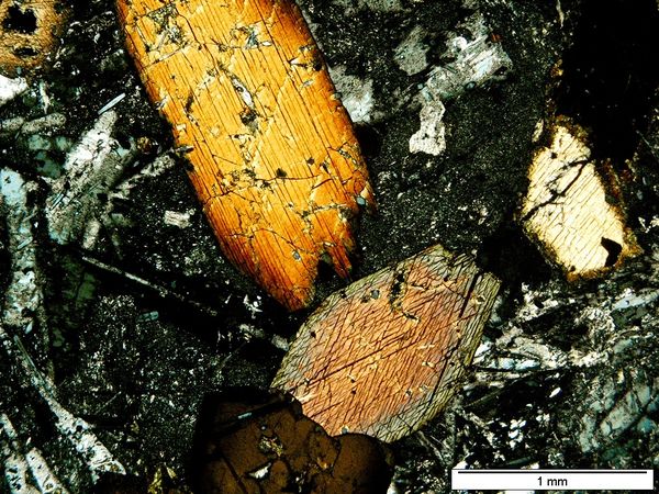 Lamprobolite PX Lamprobolite PX