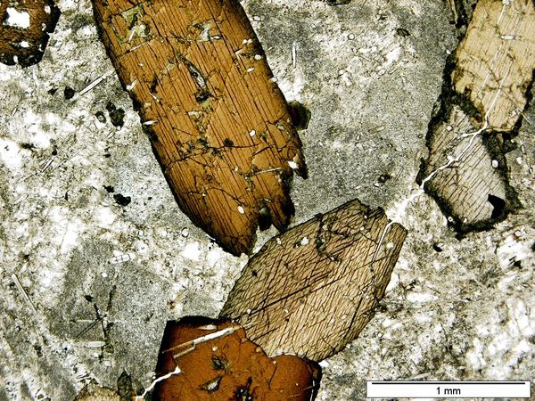 Lamprobolite 1P Lamprobolite 1P