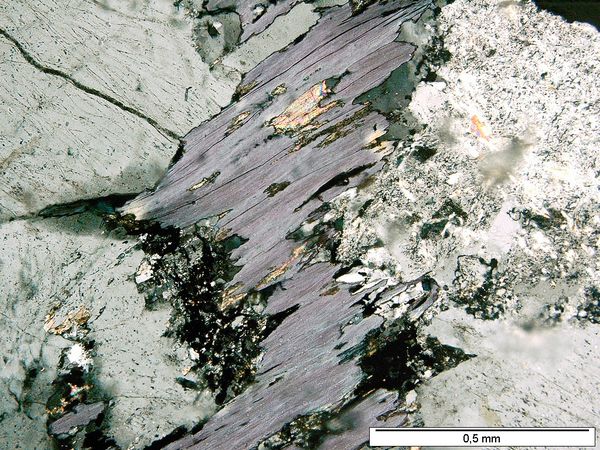 Chlorite PX Chlorite PX