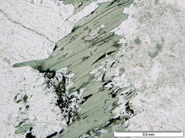 Chlorite 1P Chlorite 1P