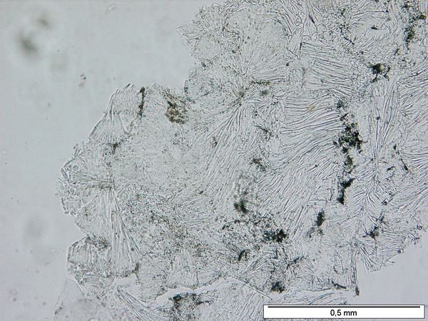 Kaolinite 1P