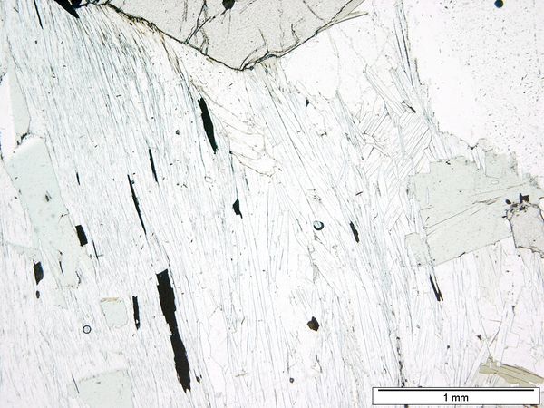 Muscovite 1P Muscovite 1P