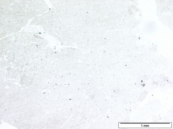 Orthoclase1P