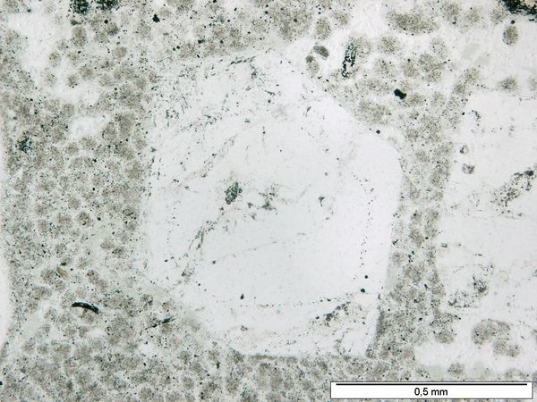 Plagioclase 1P