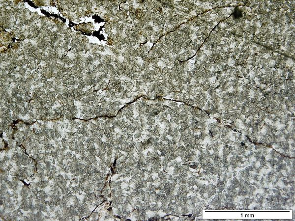 Siderite 1P Siderite 1P